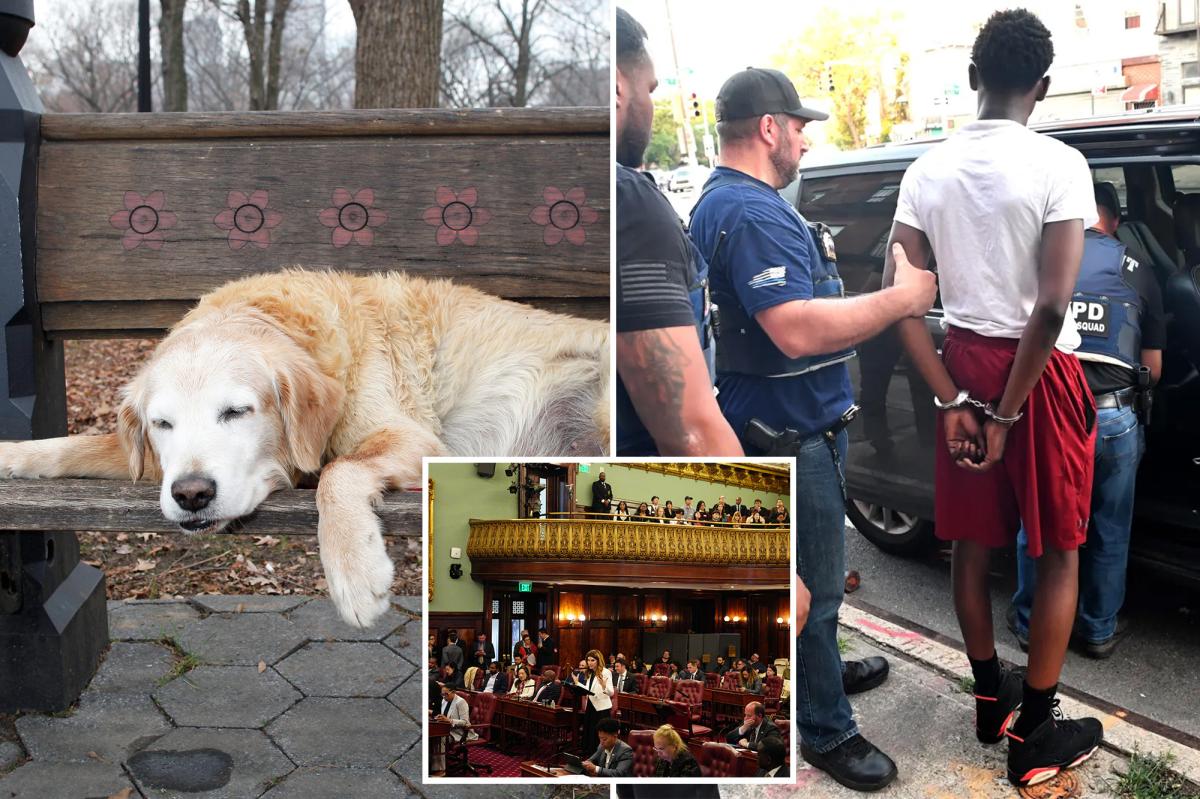 NYC's Most Bizarre Bills: What Are Lawmakers Thinking?