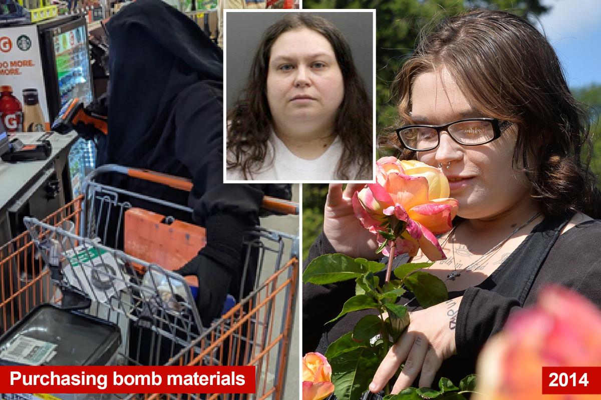 New York Woman's Shocking Plot Uncovered: What She Planned to Do Next