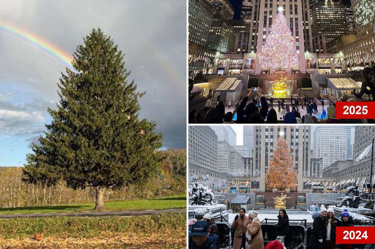 Why This 75-Year-Old Tree Is Stealing the Spotlight at Rockefeller Center