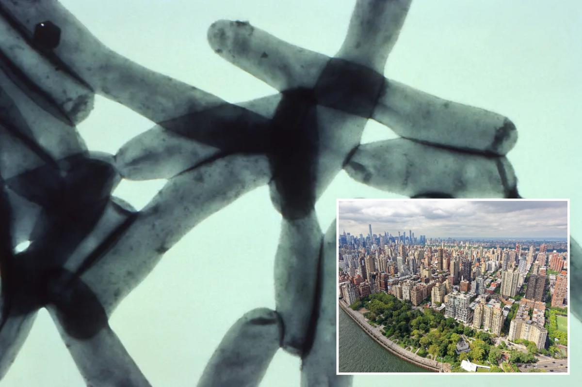 Upper East Side on Edge: Another Life Lost to Mysterious Legionnaires' Outbreak