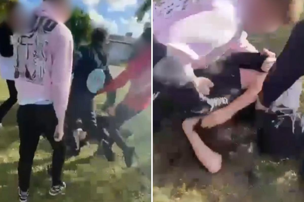 Shocking Attack Leaves Vulnerable Teen Terrified: What Really Happened?