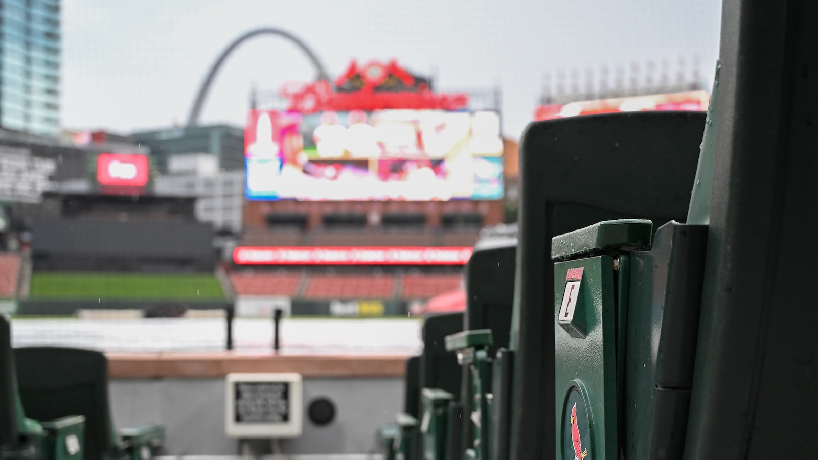 Measles Alert: What Happened at Busch Stadium?