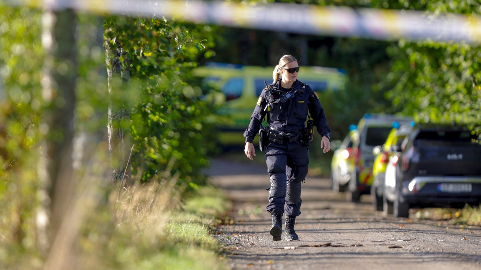 Tragedy Strikes in Norway: What Happened at the Hunting Party?