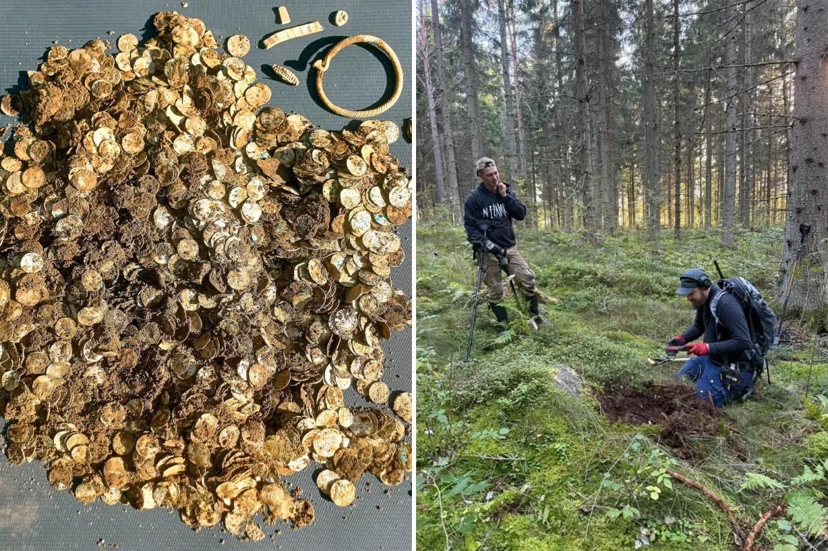 Stunning Viking Treasure Unearthed: What Lies Beneath Sysmä?