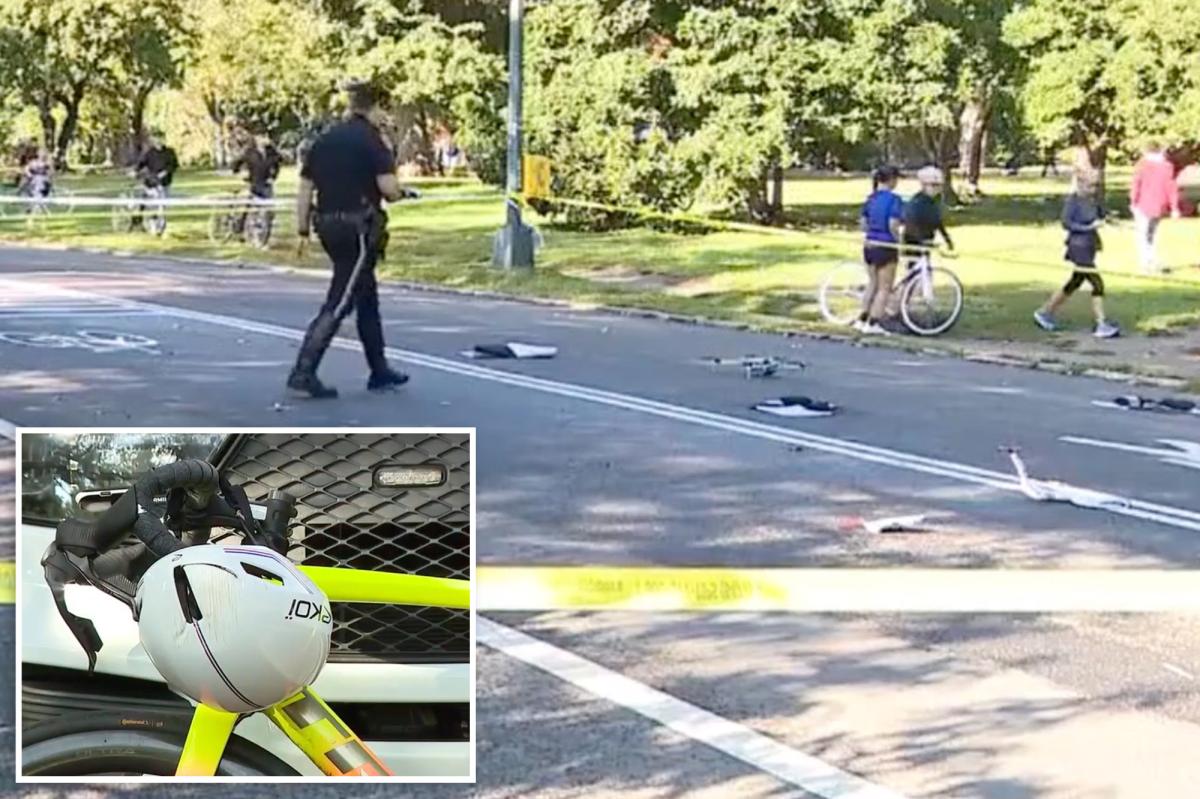 Tragedy in Central Park: Cyclist's Fatal Encounter with Unleashed Dog
