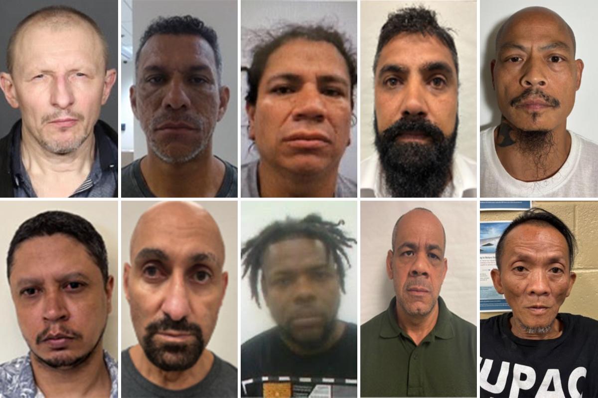 Massive ICE Operation Shakes New York: Shocking Arrests Revealed