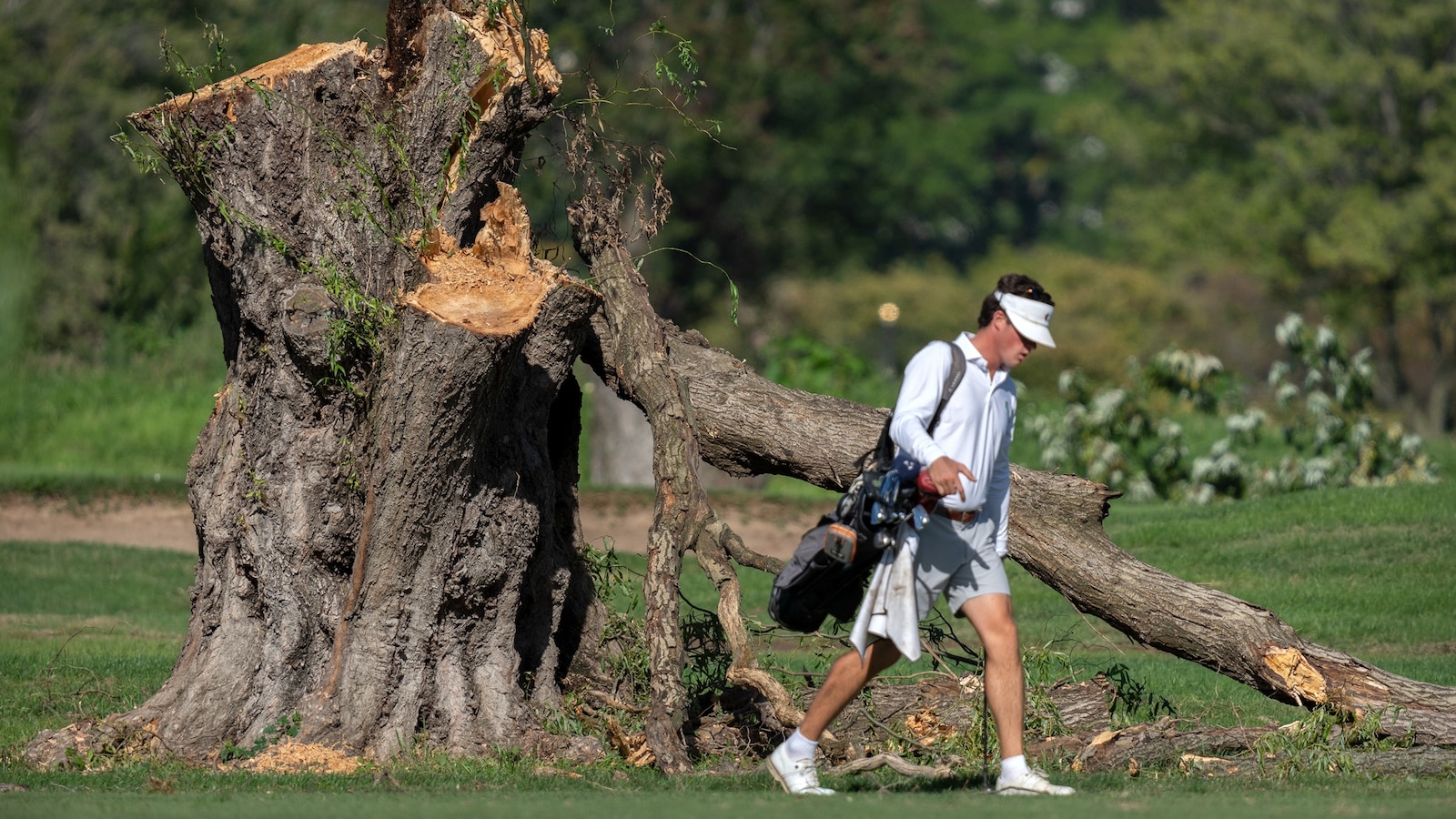 Judge Erupts Over Secretive Tree Removal at Trump's DC Golf Course
