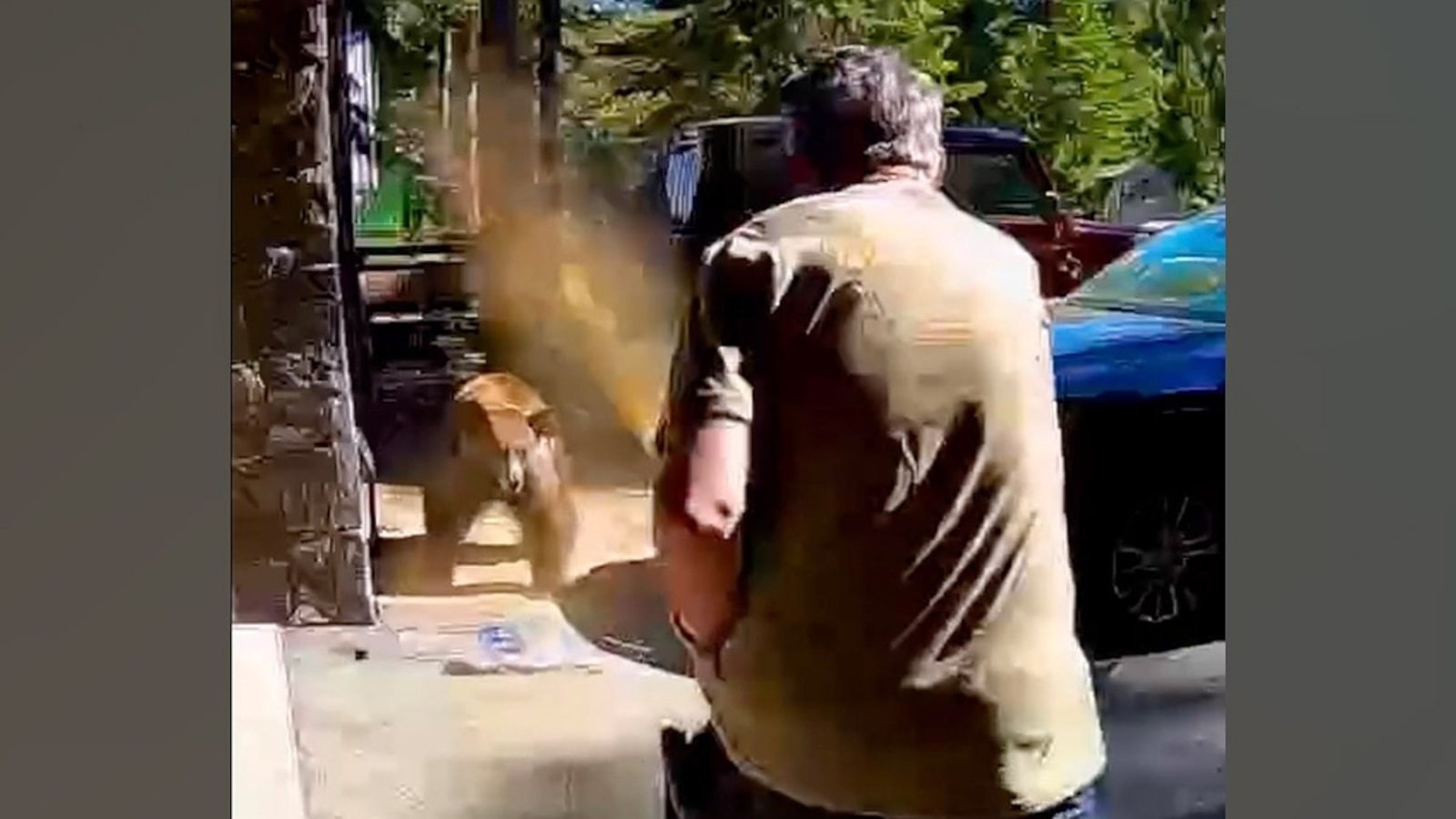 Bear Attacks Surge: What's Driving the Dangerous Encounters?