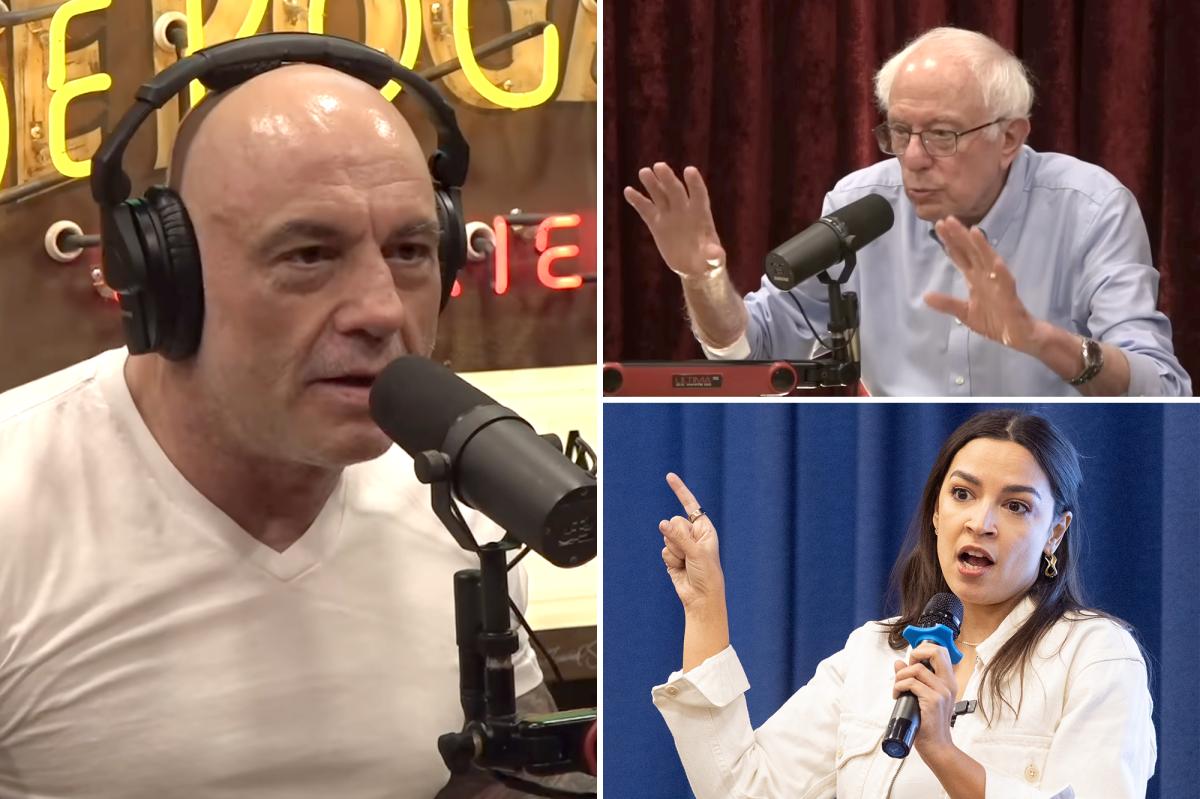 Joe Rogan Calls Out Democrats: The 'Woke' Policy Dilemma They Won't Admit