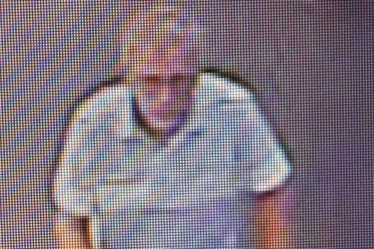 Outrage Erupts After Police Launch Manhunt Over $30 Found at Walmart