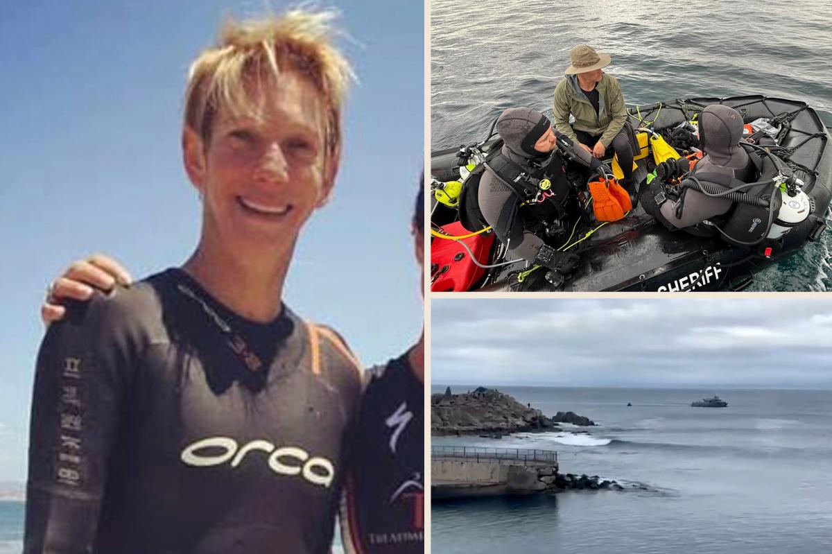 California Swimmer's Tragic Encounter: What the Shark Left Behind