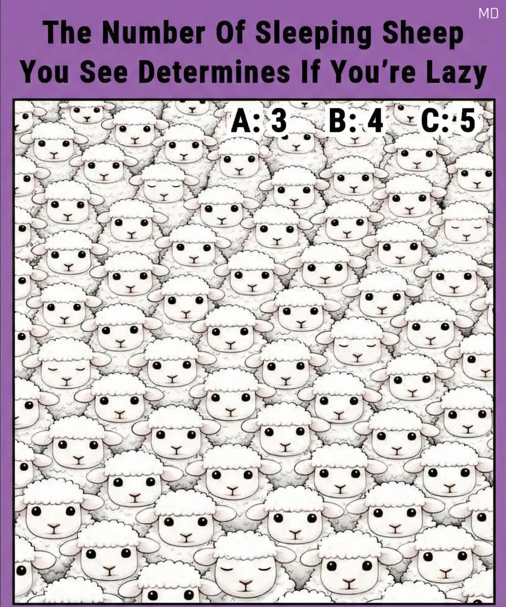 Count the Sheep: Exciting Challenge to Sharpen Your Focus!