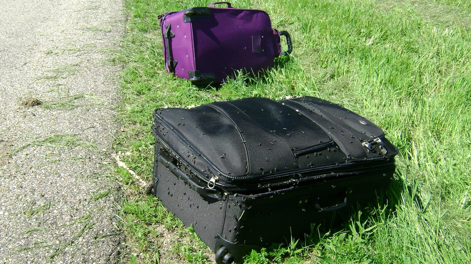 Chilling Discovery: Two Bodies in Suitcases Trigger Nationwide Search