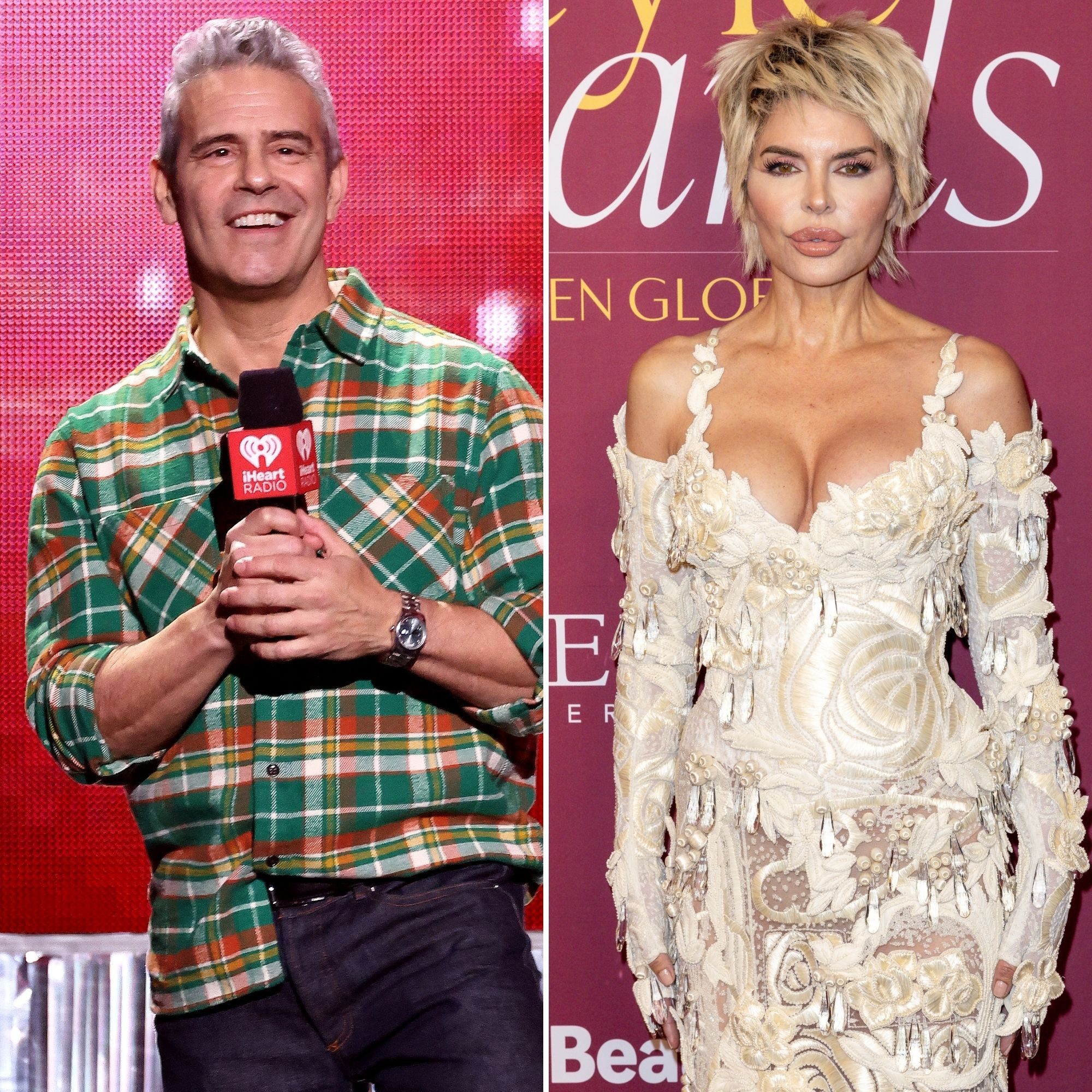 What Happened Behind the Scenes of Andy Cohen and Lisa Rinna's Feud and Reunion