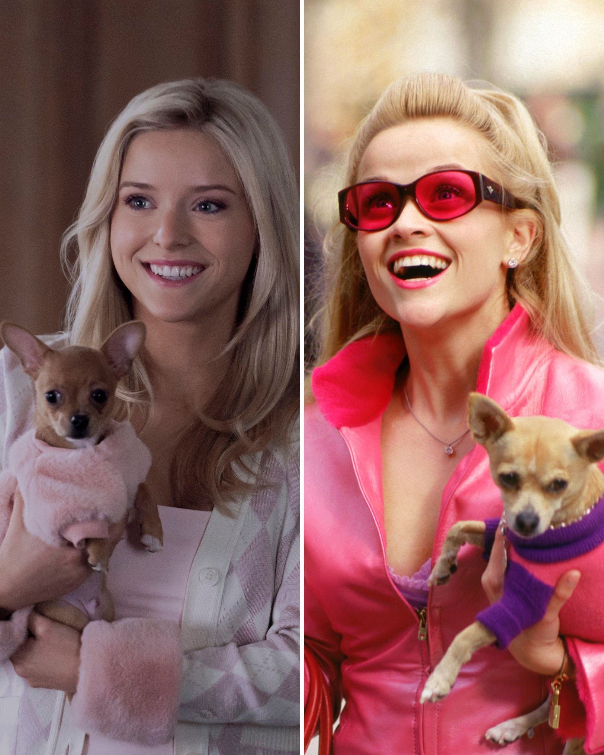 Legally Blonde Showrunners Reveal What Kept Them Up at Night