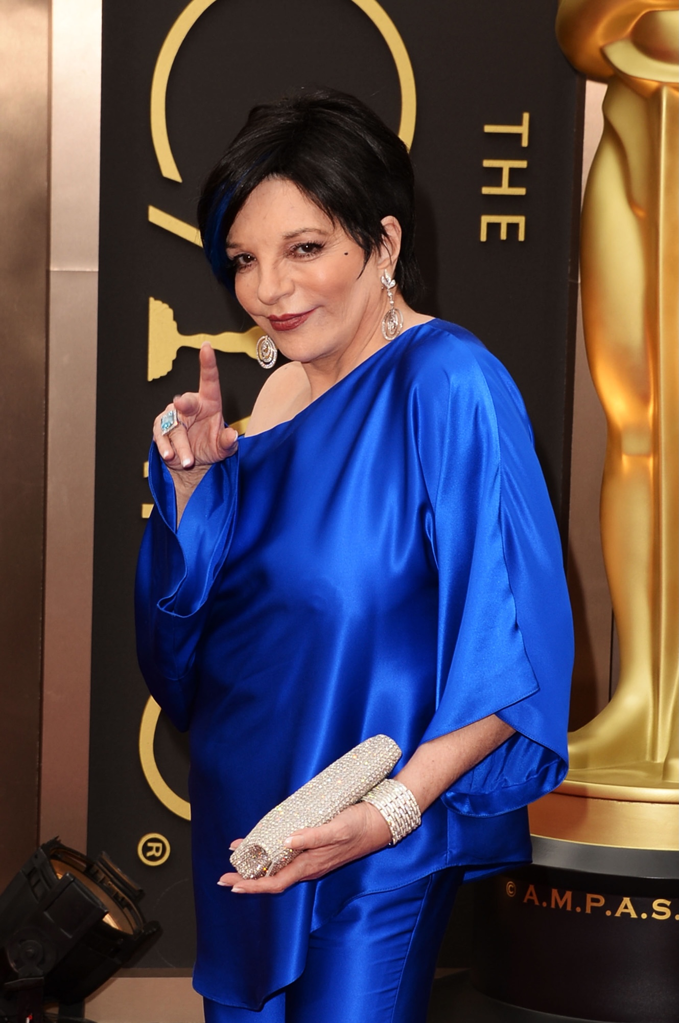 Liza Minnelli's Shocking Confession: The Dark Path to Her First Rehab