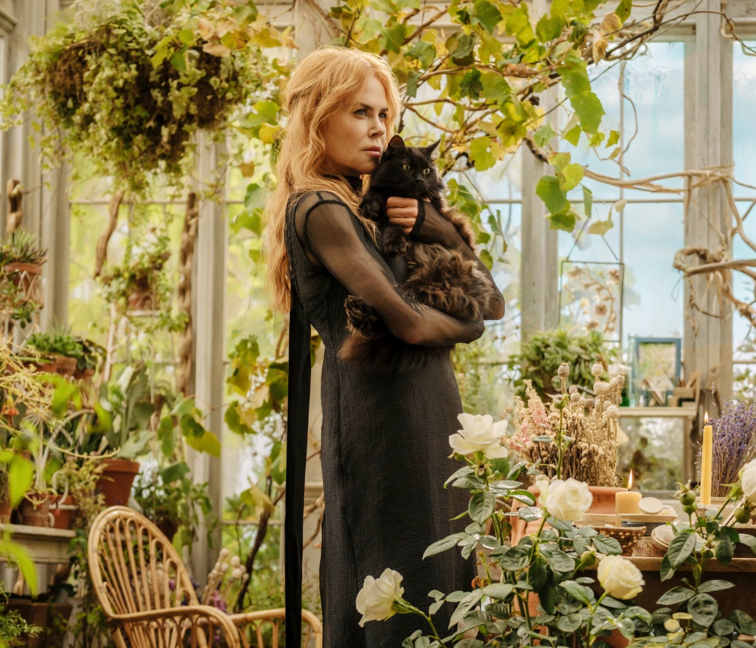 Sandra Bullock and Nicole Kidman Return: What's Behind Their Unmissable Movie Marathon?