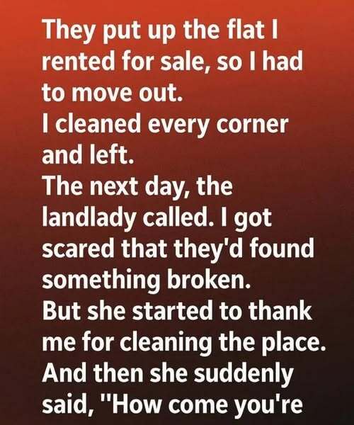 What Happened After Tidying Up My Place Will Surprise You