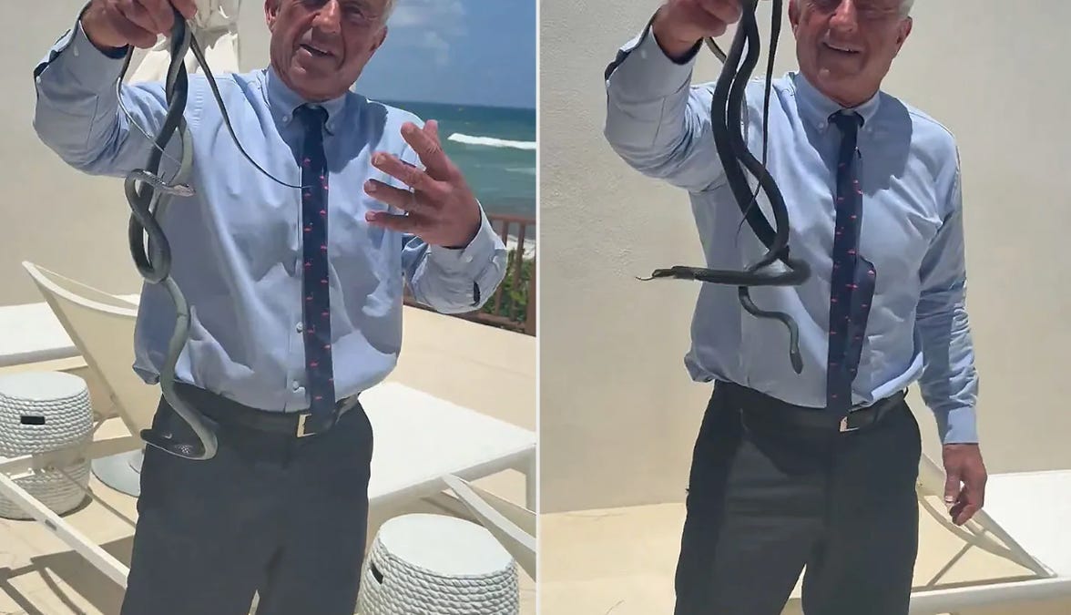 RFK Jr.'s Wild Pool Party Stunt: What Happened When He Released a Snake?
