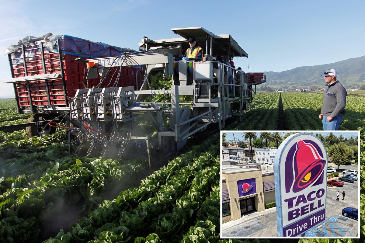 Taco Bell's Lettuce Scare: What You Need to Know About the Explosive Diarrhea Outbreak