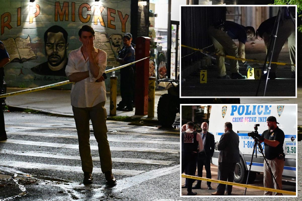 Brooklyn Fireworks Night Turns Chaotic: What Happened?