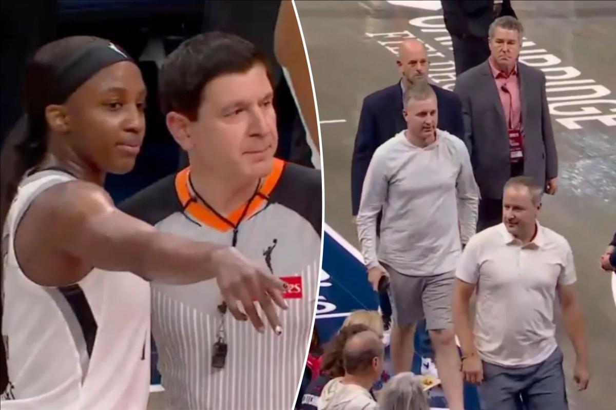 What Really Happened? WNBA Game Halts Amidst Courtside Chaos