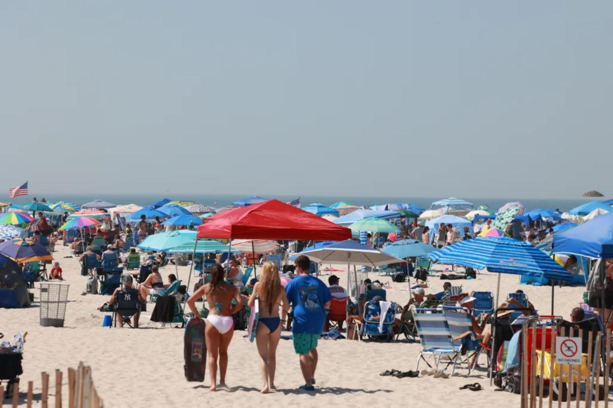 Shark Frenzy at NY Beach: What Left Swimmer's Bone Exposed?