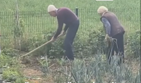 What Keeps This Elderly Couple from Kosovo Working the Fields at 99 and 94?
